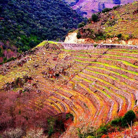 Castelodobispo - Ourense *